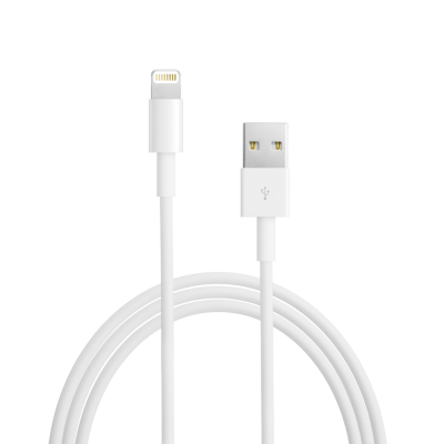 Apple Lightning to USB Cable (.5 m)