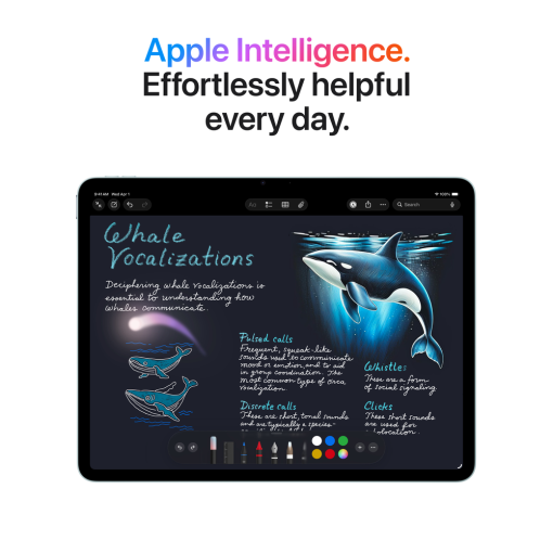New 13-inch iPad Air Wi-Fi + Cellular 256GB - Space Gray | Mac-Ave